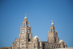 Liver-Building-006.jpg
