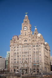 Liver-Building-007.jpg