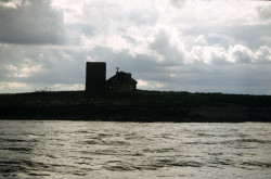 Farne-Islands-059.jpg
