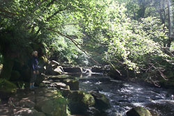 Mallyan_Spout_-101.jpg