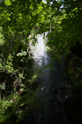 Mallyan_Spout_-121.jpg