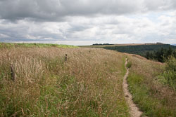 Sutton_Bank_-020.jpg