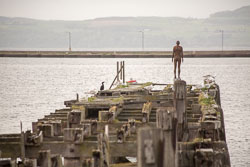 Leith_Docks_-016.jpg