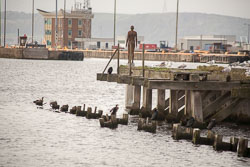 Leith_Docks_-028.jpg