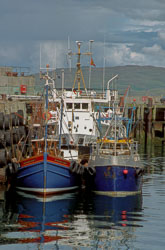 Mallaig-004.jpg