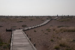 Dungeness_-008.jpg