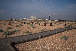 Dungeness_-015.jpg