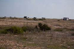 Dungeness_-023.jpg