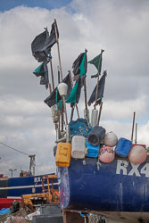 Hastings_-012.jpg