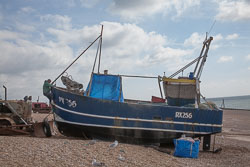 Hastings_-014.jpg