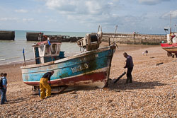 Hastings_-018.jpg