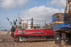 Hastings_-022.jpg