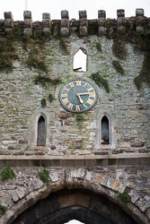 Rye_-001.jpg