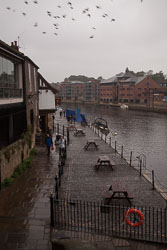 River_Ouse,_York_-002.jpg