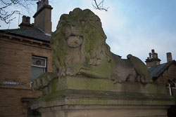 Saltaire_Lions-005.jpg