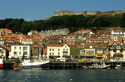 Scarborough-002.jpg