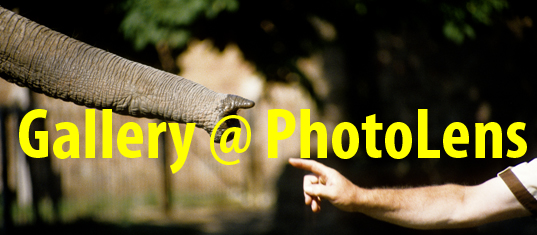 Galleries.PhotoLens.co.uk